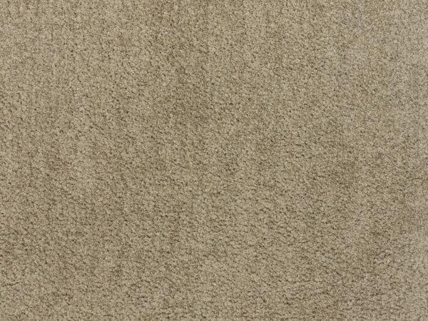 BODEN-LATTE-SAMPLE