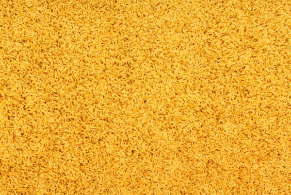 FIJI-GOLD-SAMPLE